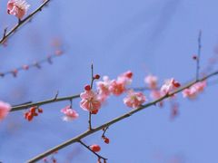 -西安曲江池遗址公园