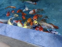 -57度湘(王府井10F店)