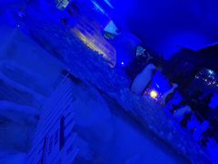 -世界之窗阿尔卑斯冰雪世界