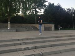 -大兴滨河森林公园