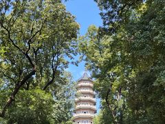 -灵谷景区