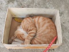 -灶东家民间菜(回兴店)