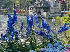 -荔湾湖公园