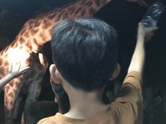 -清迈夜间动物园