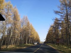 -塞罕坝国家级自然保护区