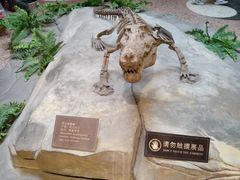 -自贡恐龙博物馆