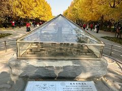-玲珑塔公园