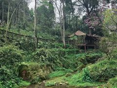 -青城山