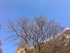 -泰山风景名胜区