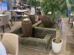 -龙泉人椰子鸡.糟粕醋.海南菜(三亚旗舰店)