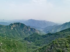 -大岭沟猕猴桃谷风景区