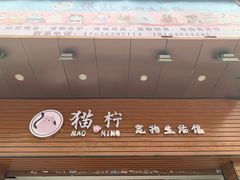 -集宠猫柠宠物生活馆