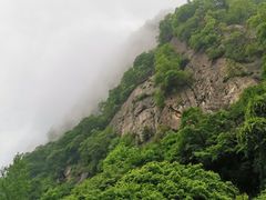 -陕西省红河谷森林公园