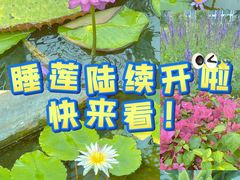 -国家植物园