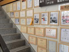 -半岛宠物医院24小时·内窥镜·牙科·碎石中心(府城大道店)