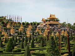 -东芭乐园