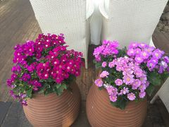 -新竹里馆·花园餐厅(兴苑路店)