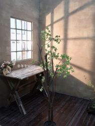 -北遇映画PHOTO GRAPHY STUDIO