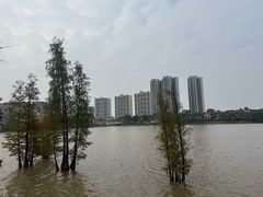 -美的鹭湖森林度假区