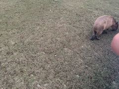 -颐和澜悦欢乐水世界(原颐和温泉城)