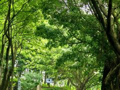 -广州市石门国家森林公园