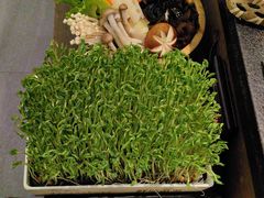 -湊湊火锅·茶憩(打浦桥日月光店)
