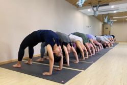 -酉嘉瑜伽YO+YOGA