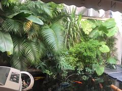 -漫笙舍Manse·咖啡·民宿