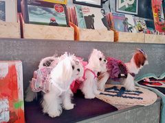 -nodcafe(M50创意园店)