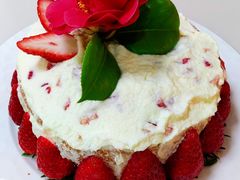 -天鹅到家·保姆月嫂育儿嫂(浦东店)