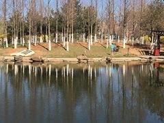 -前关湿地公园