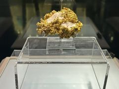 -安徽省地质博物馆