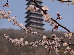 -大伊山景区