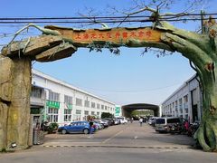 -龙大花卉苗木市场