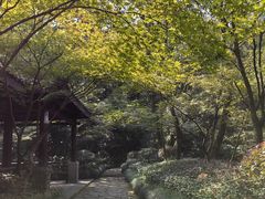 -杭州半山国家森林公园