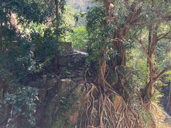 -飞霞风景名胜区