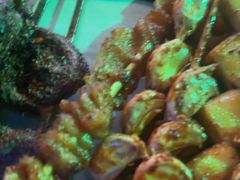 -路边边.炒菜烧烤.音乐餐厅(良乡长虹店)