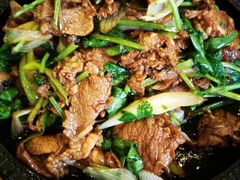 -老回回饺子馆(海洋馆店)