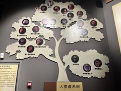 -辽宁古生物博物馆