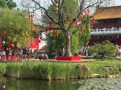 -曹州牡丹园
