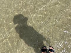 -红树林天天赶海