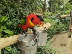 -南宫五洲植物乐园