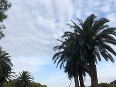 -美兰湖景区