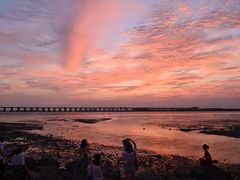 -宝安西湾红树林湿地公园