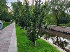 -元大都城垣遗址公园