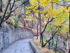 -香山公园
