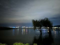 -洱海月湿地公园