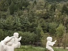 -白佛山景区