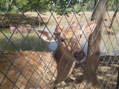 -泗洪洪泽湖湿地景区