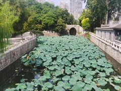-水绘园